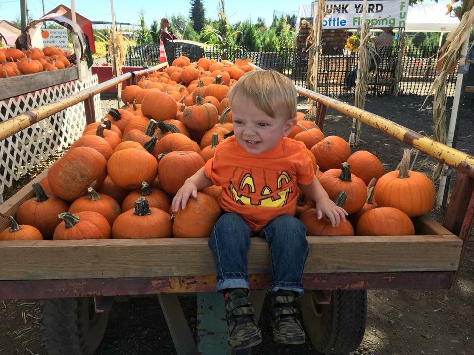 Picking Pumpkins 2017